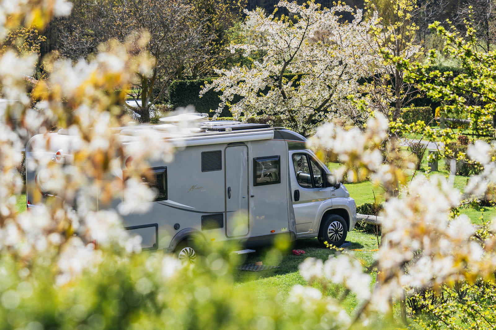 Camping Gloria Vallis — photo 3